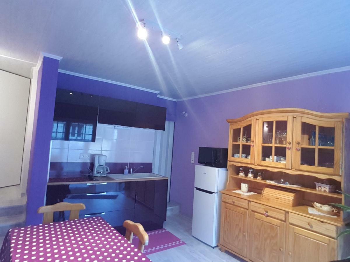 La Belle Endormie - Appartement A Fenetrange Екстериор снимка